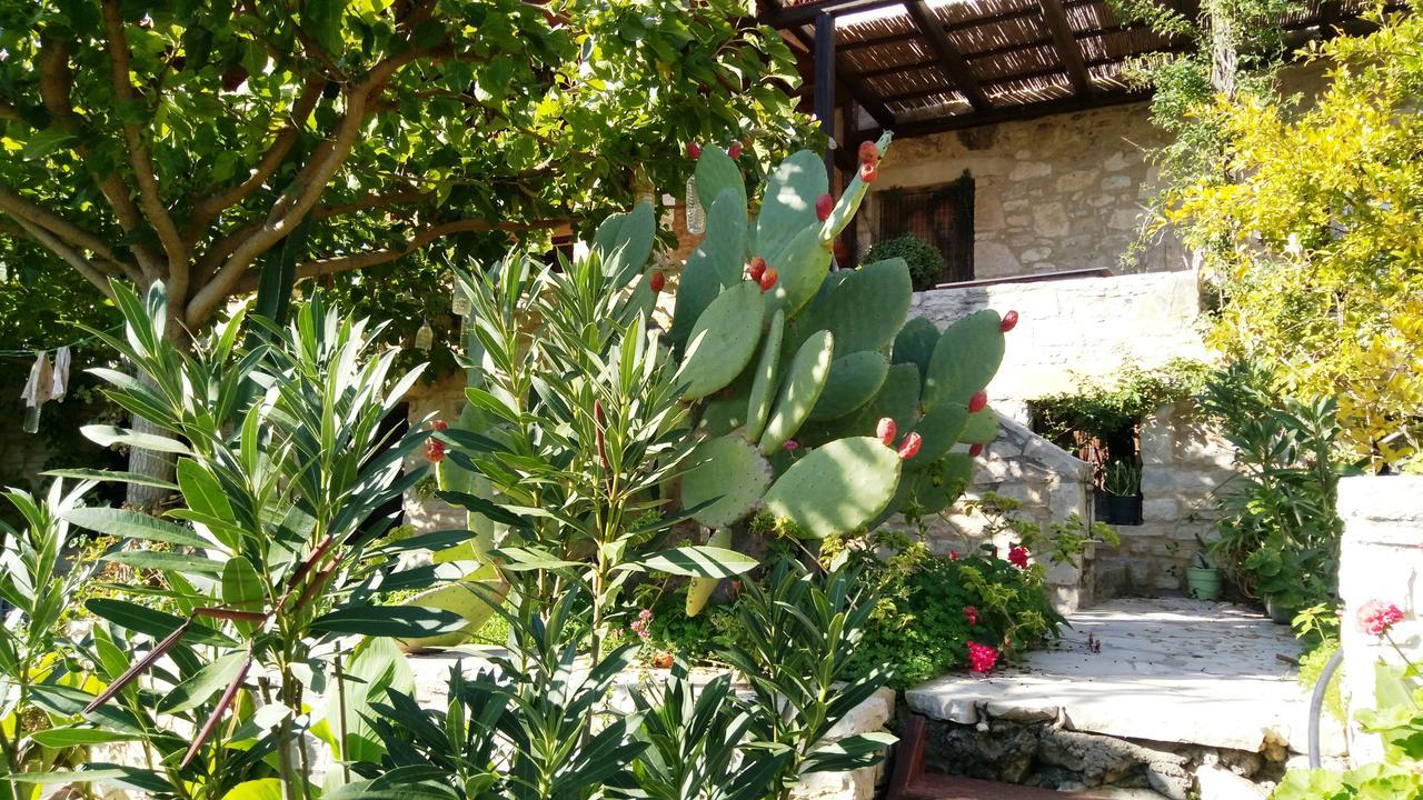 Villa Filiza Sívas Exteriér fotografie